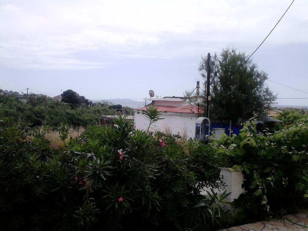 Tony's Agios Georgios (Corfu)